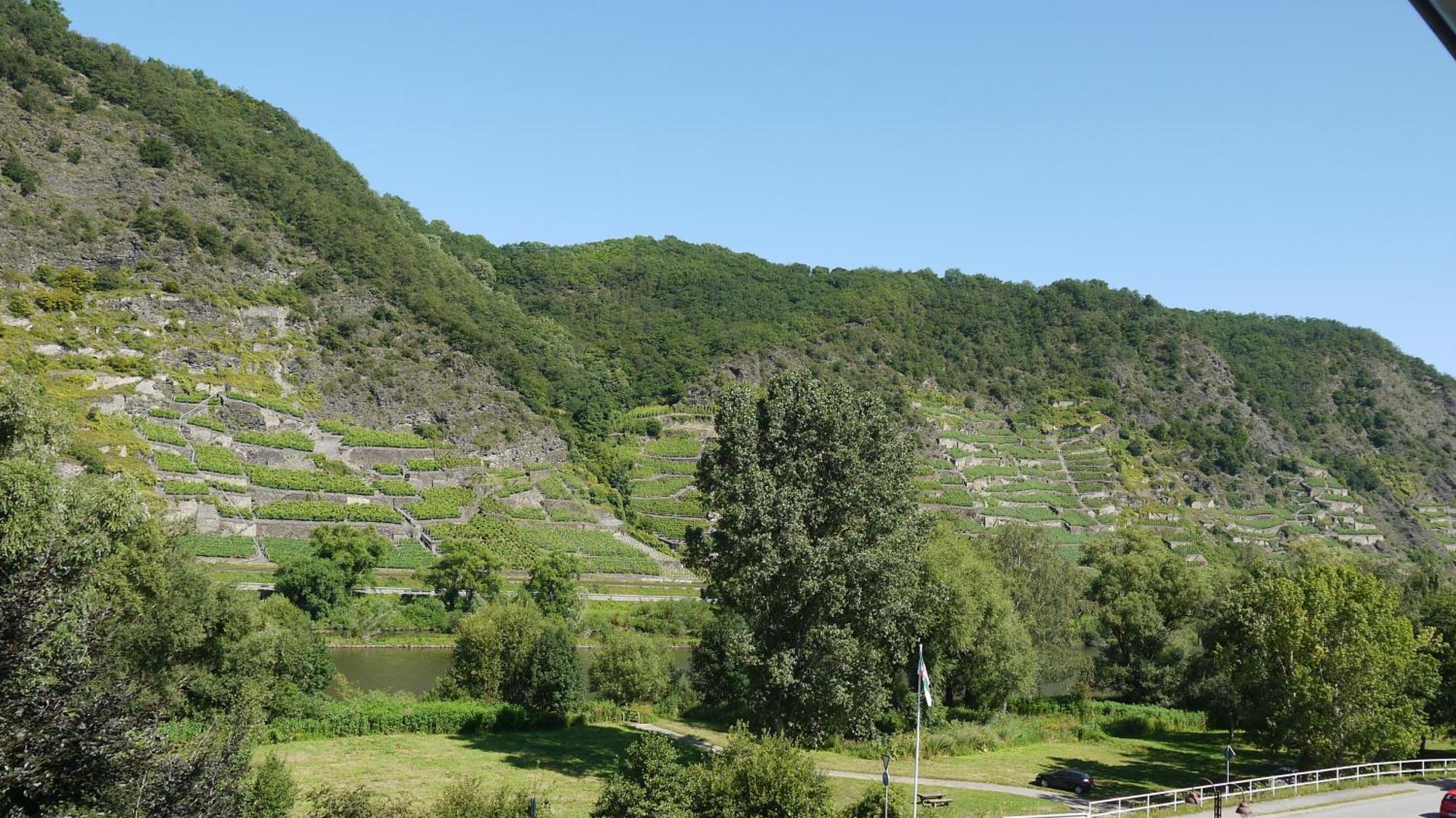 Hotel-Garni-Kachelburg ดีบลิค ภายนอก รูปภาพ
